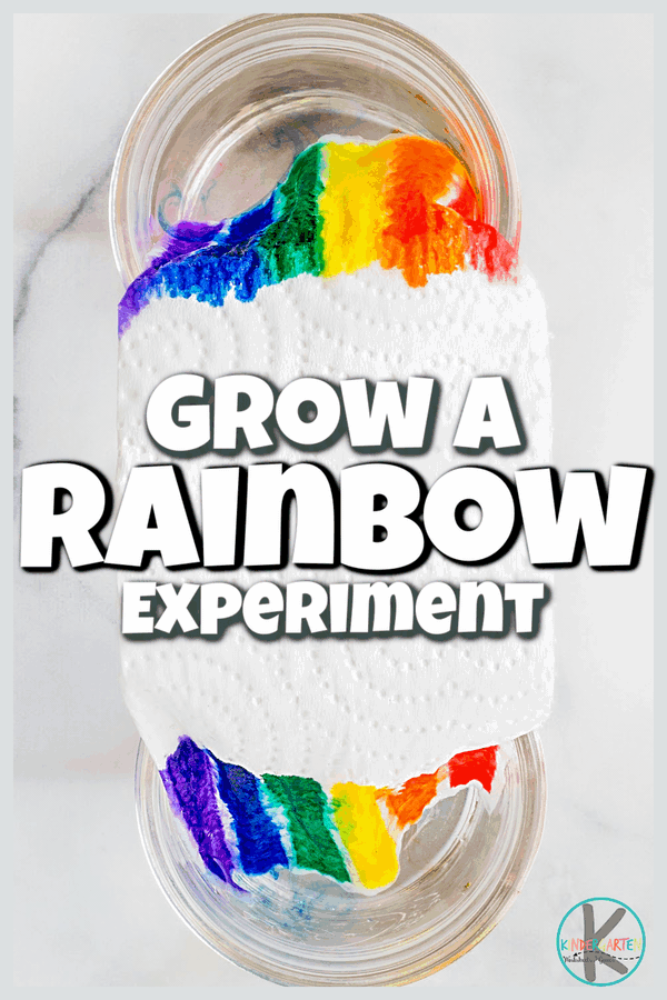 growing a rainbow capillary action experiment