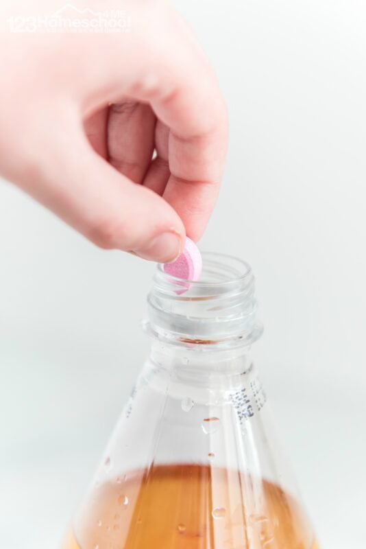 drop 1 alka seltzer antacid tablet into your science project