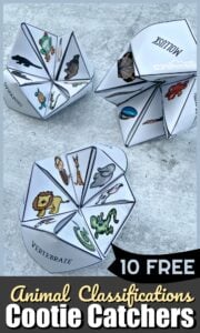 Animal Classifications for Kids Cootie Catchers