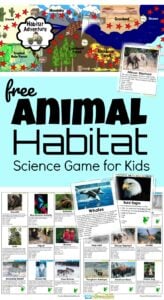 In our homeschool science we’ve been learning about the Biosphere. To help my kids better understand the different Biomes, I created this habitat game to help kids learn about he different major biomes and habitats animals live in. Habitat Adventure is a free printable Science game that teaches pre k, kindergarten, first grade, 2nd grade, 3rd grade, 4th grade, 5th grade, and 6 the grade students about 8 Major Biomes of the World, 60+ animals, as well as Taxonomy.