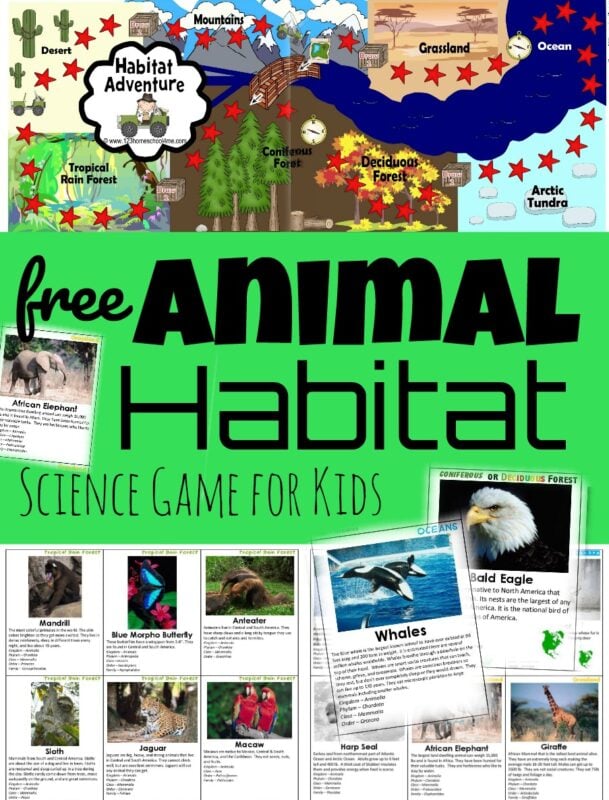animal habitats for kids