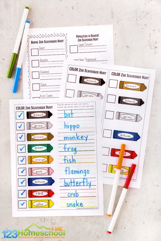 animal scavenger hunt