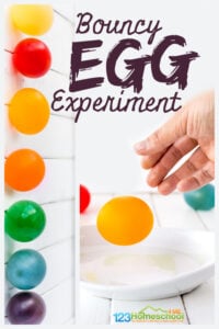 Kids are going to love this crazy cool bouncy egg experimert! Children will be amazed by this egg experiment where they will literally dissolve the shell of a raw egg to create a bouncy egg. This bouncy egg vinegar project is fun for preschool, pre-k, kindergarten, first grade, 2nd grade, 3rd grade, and 4th grade students. Plus our version of this egg in vinegar experiment has a fun, colorful twist!