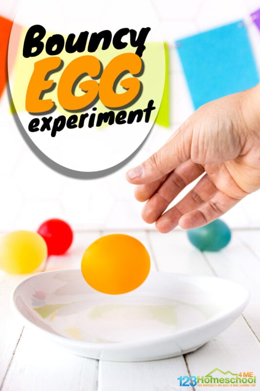 Kids are going to love this crazy cool bouncy egg experimert! Children will be amazed by this egg experiment where they will literally dissolve the shell of a raw egg to create a bouncy egg. This bouncy egg vinegar project is fun for preschool, pre-k, kindergarten, first grade, 2nd grade, 3rd grade, and 4th grade students. Plus our version of this egg in vinegar experiment has a fun, colorful twist!