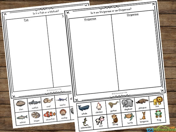 Classifying Animals Worksheet