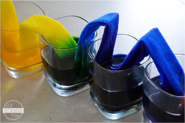 color mixing science experiment for kids