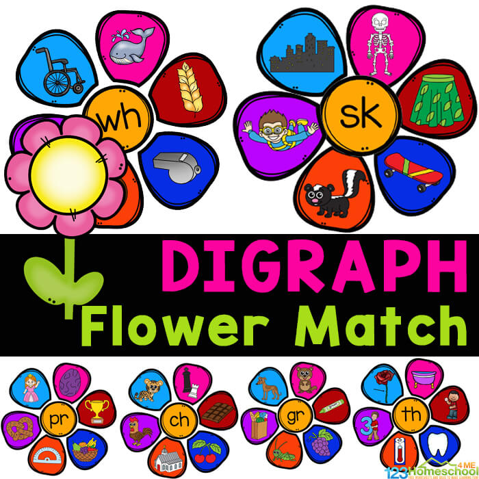 This super cute, handson digraph activity is a fun way for early readers to identify digraphs for kids! In these flower digraph games students will make flowers by matching the petals to the digraph. This digraph kindergarten is way better than boring digraph worksheets! Simply download pdf file with  digraph activities for first grade. 