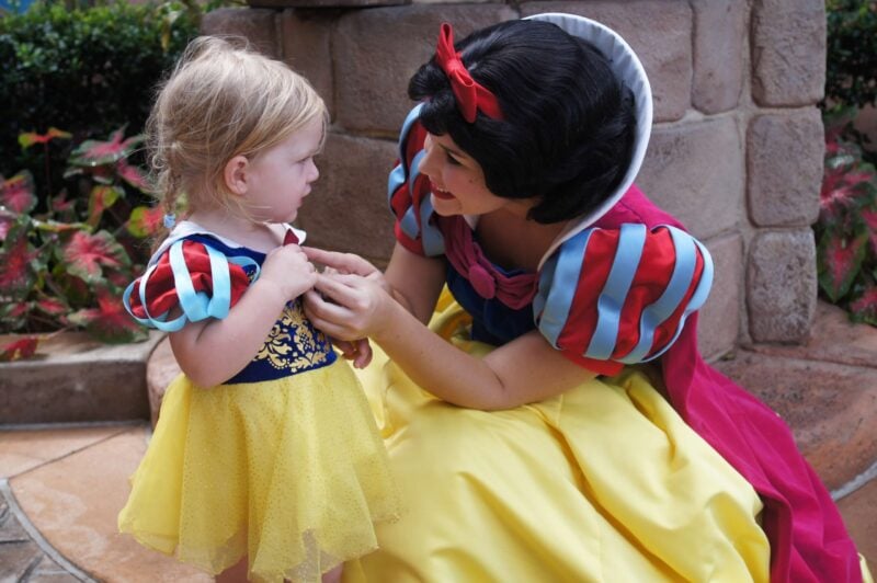 get all the inside tips and tricks for visiting the disney princesses and other character at disney world
