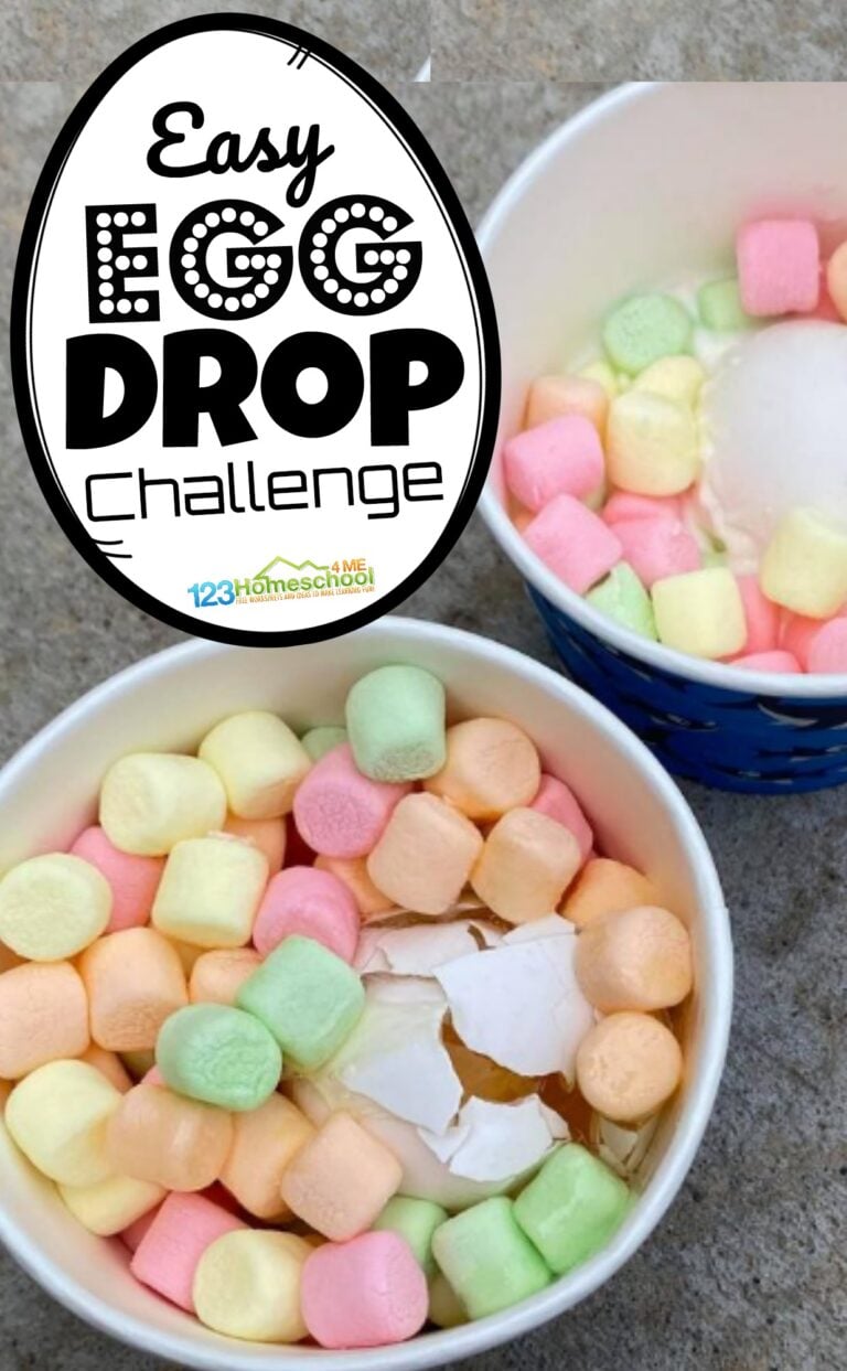 Egg Drop Challenge Project