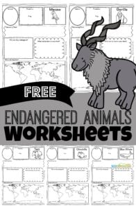 Children will love learning about these fascinating animals from around the world that are sadly endangered animals. Grab these free printable Endangered Animals Worksheets for kindergarten, first grade, 2nd grade, 3rd grade, 4th grade, 5th grade, and 6th grade students to make learning about animals fun and easy!  