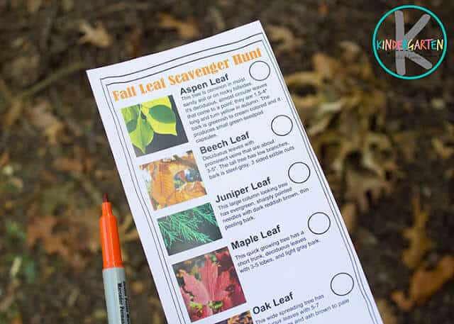 Fall LEAF Scavenger Hunt