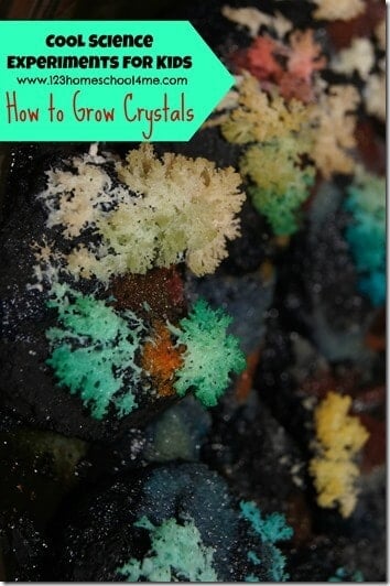 How to Grow Crystals Science Experiment