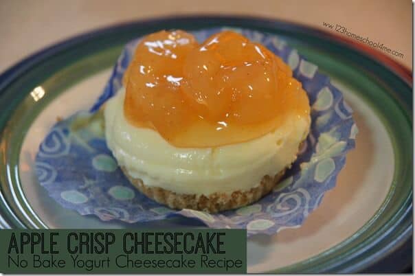 EASY Apple Crisp No Bake Yogurt Cheesecake Recipe