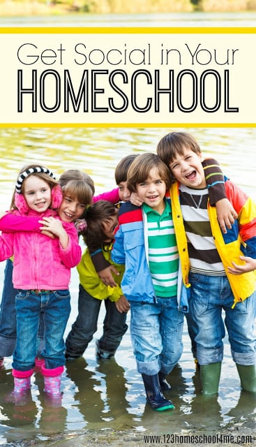 Homeschool-socialization