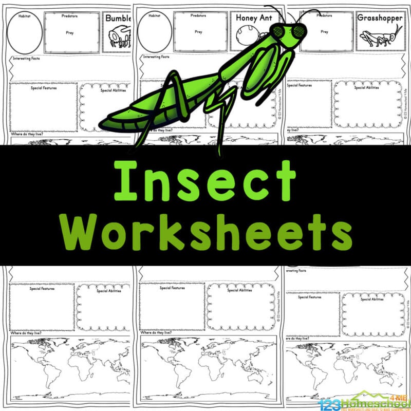 Learn about fascinating bugs for kids with free printable insect worksheets. Fun science activity for grade 1, 2, and 3 for spring!