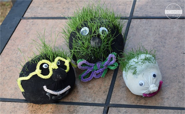 Grass Craft for Kids
