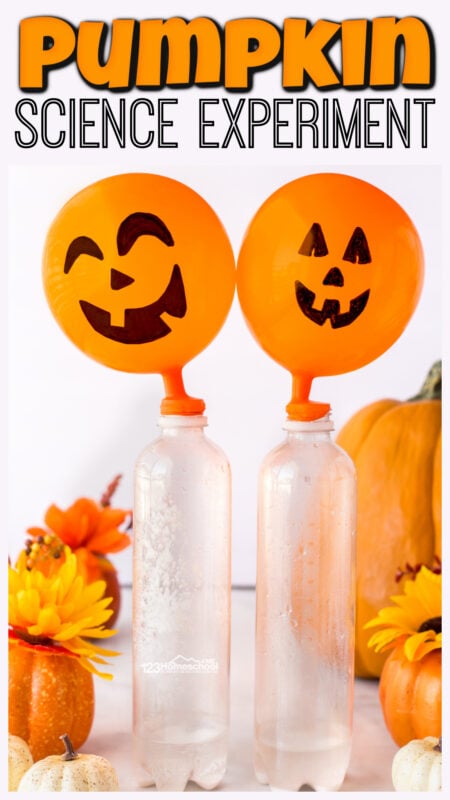 Simple pumpkin science experiment will allow children to use a chemical reaction to quickly grow a silly Jack-o-Lantern Pumpkin.