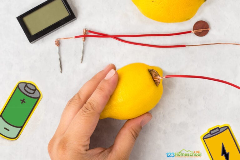 How to Make a Lemon Clock – Electricity Experiment for Kids