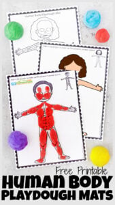 This fun hands-on human body for kids project is such a fun way to learn about our amazing bodies! These Human Body Playdough Mats are a fun way for kids of all ages to learn about what is inside our body. Learn about human body parts for kids by completing the free printable playdouh mats. Children will learn about body systems for kids as they make bones, skeletal system, muscles, organs, and more! Use these playdough mats as part of a study of anatomy making human body model for kids from toddler, preschool, pre-k, kindergarten, first grade, 2nd grade, and 3rd grade students. Simply print the playdoh mats and learn about my body parts for kids with a hands-on science activity.