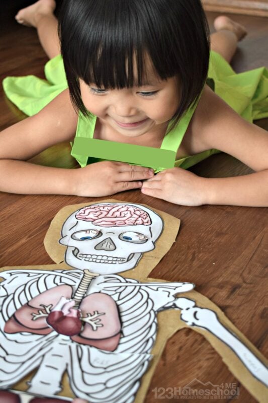 this is such a fun human body activity for preschool, prek, kindergarten, first grade, 2nd grade, 3rd grade, 4th grade, 5th grade, and 6th grade students