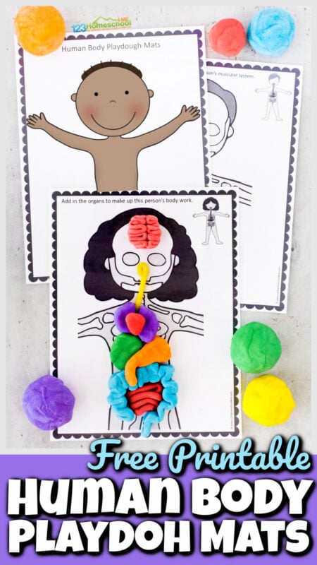 This fun hands-on human body for kids project is such a fun way to learn about our amazing bodies! These Human Body Playdough Mats are a fun way for kids of all ages to learn about what is inside our body. Learn about human body parts for kids by completing the free printable playdouh mats. Children will learn about body systems for kids as they make bones, skeletal system, muscles, organs, and more! Use these playdough mats as part of a study of anatomy making human body model for kids from toddler, preschool, pre-k, kindergarten, first grade, 2nd grade, and 3rd grade students. Simply print the playdoh mats and learn about my body parts for kids with a hands-on science activity.