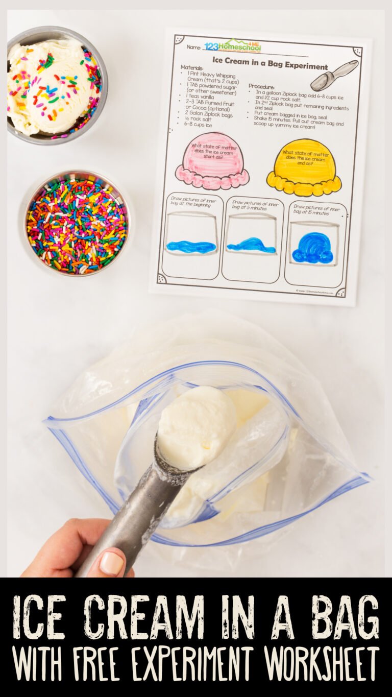 How to Make Ice Cream in a Bag w/ Science Experiment Worksheet pdf