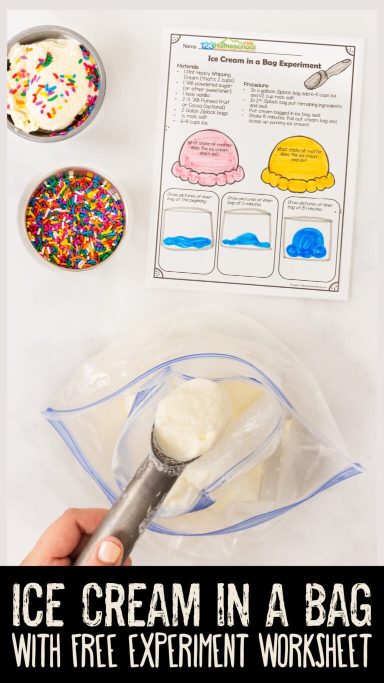 Do you know how to make ice cream in a bag? This delicious summer activity for kids is quick, easy, and FUN! You can whip up a batch of this yummy ice cream in a bag with just 4 ingredients. Not only is this a delicious summer treat, but it is a fun summer activity for preschoolers too! This ice cream in a bag experiment is actually a chance to see a scientific principle - changing states of matter! Simply print our ice cream in a bag science experiment worksheet and you are ready to play and learn with summer science for preschool, pre-k, kindergarten, first grade, 2nd grade, 3rd grade, 4th grade, 5th grade, and 6th graders too.