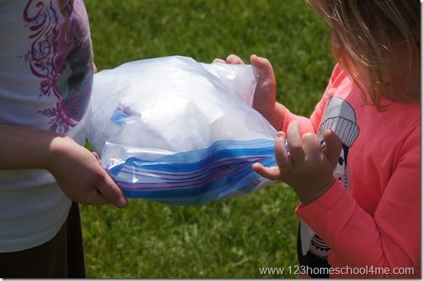 ice cream in a bag summer activity for kids