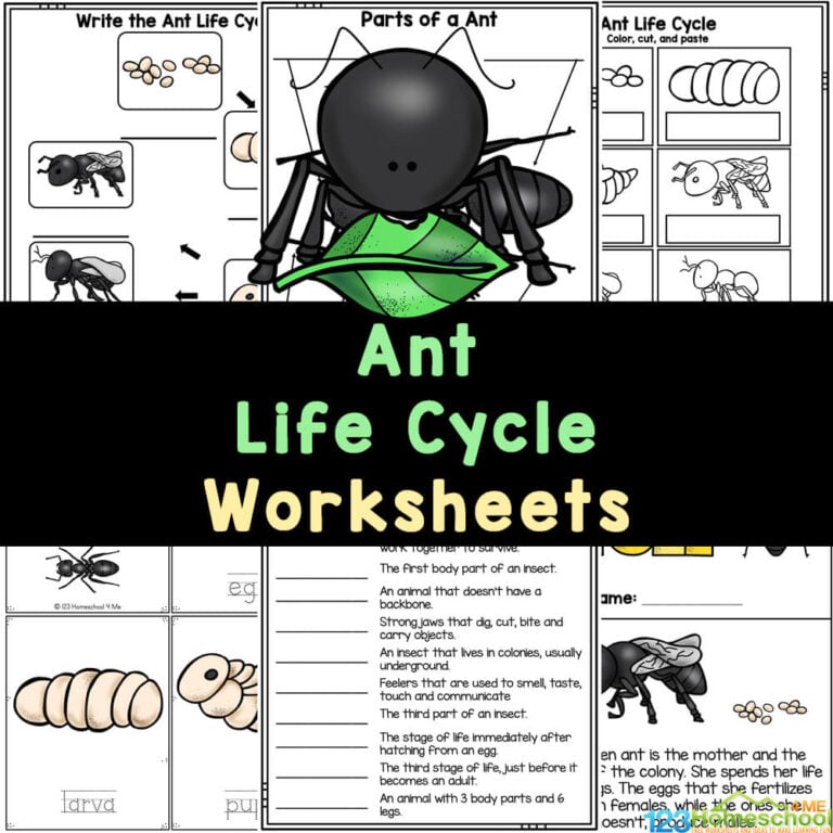 Learn about the life cycle of an ant with FREE Ant Worksheets! Simply print these insect printables for 1st, 2nd, 3rd, 4th, 5th, & 6th grade.  