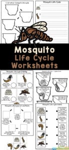 If you are looking for a fun, simple way for kids to learn about the life cycle of a mosquito, then you will love these fun and free printable Mosquito Life Cycle Worksheets. Simple print these life of mosquito to practice a variety of math and literacy skills while learning about life cycles for kids with preschool, pre-k, kindergarten, and first graders.