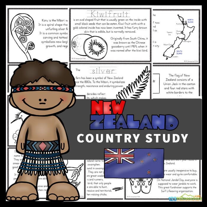 New-Zealand-Country-Study-1