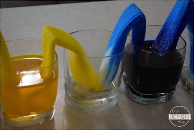 watch the walking water science experiment mix blue and yellow to make green
