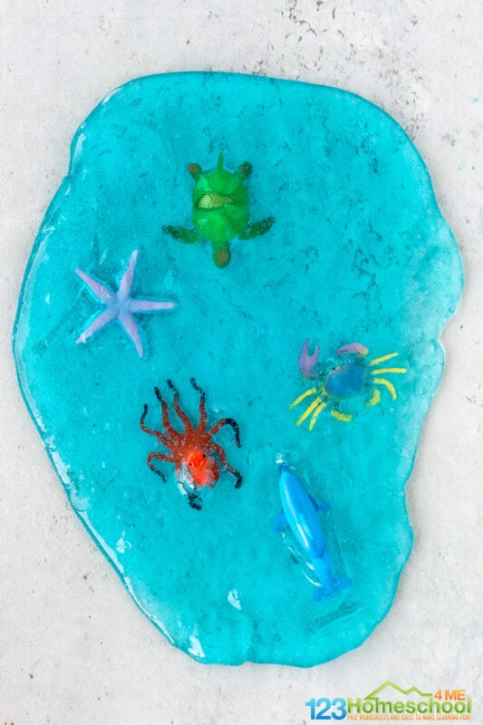 ocean activities for preschoolers