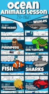 Dive in to this fun Ocean Animals Lesson filled with fascinating information about the oceans, whales, star fish, sharks, and more amazing creatures. You will find engaging text, science experiments, printable worksheets, life cycles, printable crafts, label the anatomy, report templates, creative writing prompts, beautiful color flashcards, and so much more!