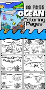 ocean coloring pages