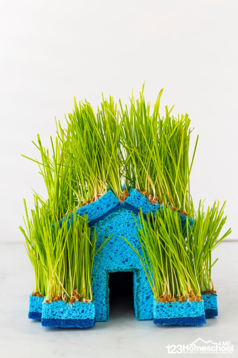EASY Grass House – Plant Activity for Kids