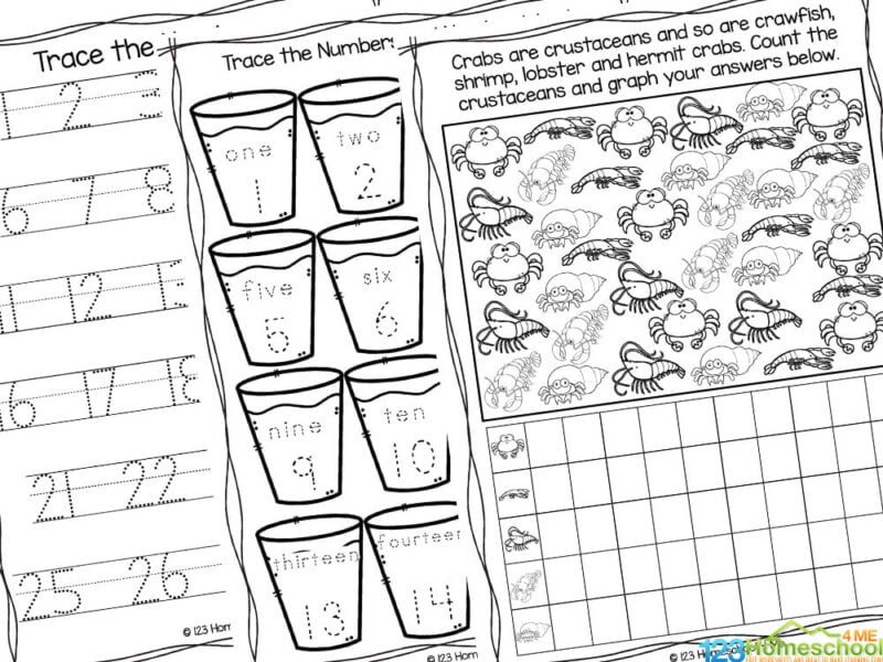 preschool math worksheets