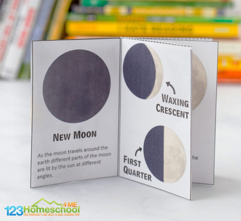 FREE Moon Phases for Kids Printable Mini Book