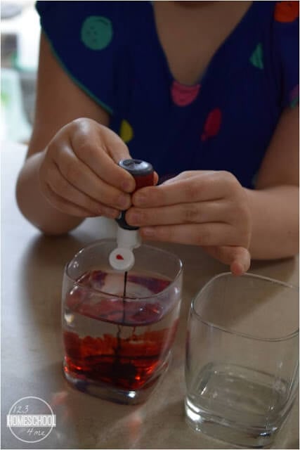 simple science project for kids