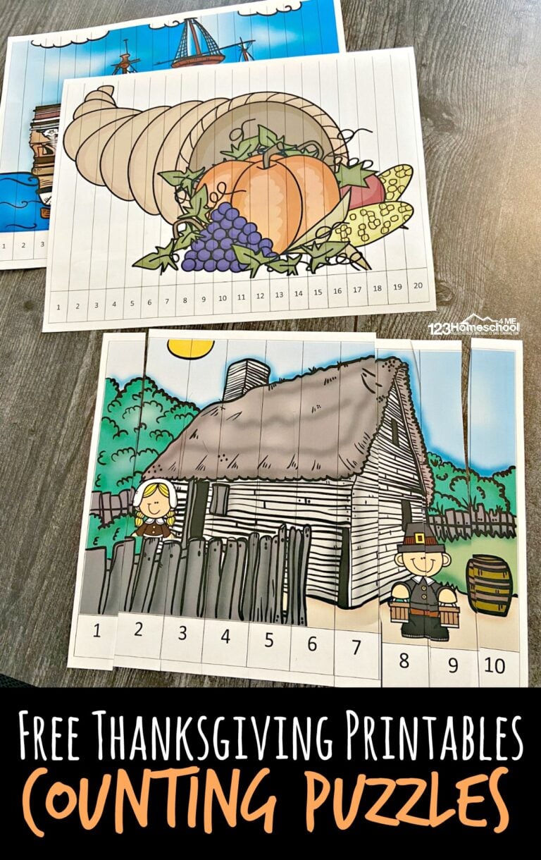 Thanksgiving Counting Puzzles