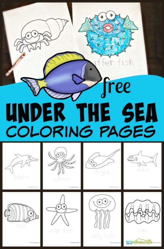FREE Ocean Fish Coloring Pages - These are super cute coloring sheets perfect for Toddler, Preschool, Kindergarten, and more!