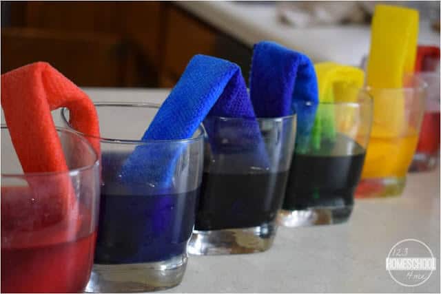 beautiful walking water science experiment where red will mix with blue to make purple, blue mixes with yellow to make green and yellow mixes with red to make orange