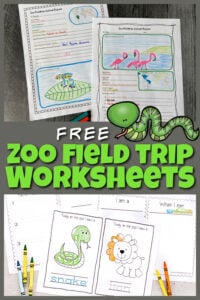 Here is a fun way to turn a trip to the zoo into a fun, educational sceince field trip! These zoo field trip worksheet will help your kids to explore the zoo more in-depth.  We've included zoo animals worksheet for first grade, 2nd grade, 3rd grade, 4th grade, 5th grade, and 6th grade students. Plus preschool zoo activities including zoo coloring pages perfect for toddler, preschool, and pre-k students. Finally create an animal report where kindergarten and elementary age students can draw animals they see and write down interesting information too. Simply print pdf file with zoo animal printables and you are ready to play and learn!