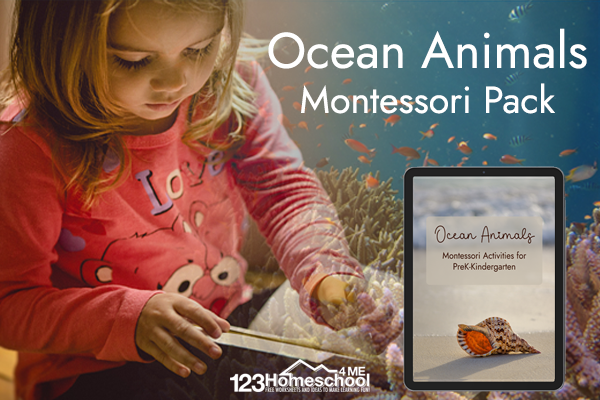 Get ready for a Montessori Ocean Unit with this pack of FREE printable ocean animals activities for preschoolers and kindergartners.